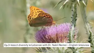 Ep3_Insect Diversity in Lebanon with Dr. Nabil Nemer (English Version)