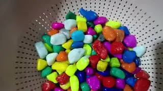 DIY Foraging Toy for #birds 🐦 | Easy & Safe Enrichment at Home #play #viral #toys #DIY