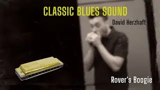 Harmo Rover Blues Harmonica 🎶 Warm Rosewood Tone vs Hohner Marine Band | 20 Keys