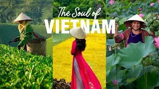 Exploring Vietnamese Culture And Traditions #vietnam