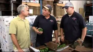 Coborn's Fresh! - Local Peppers - Riverside Farms