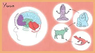 The Mind Course 2: Brain's Evolution, from Reptiles to Humans