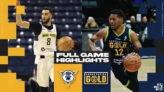Grand Rapids Gold vs. Fort Wayne Mad Ants - Game Highlights