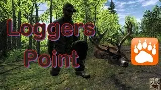Bows and Bucks | Loggers Point Montage | theHunter 2015