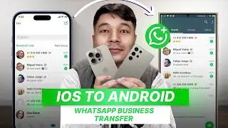 Перенос WhatsApp Business с iPhone на Android
