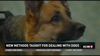 NEWS Canine Encounters - Boise ID