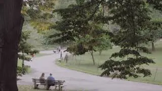 Couple sitting on a bench