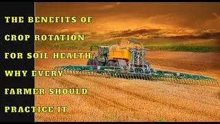The Benefits of Crop Rotation for Soil Health: Why Every Farmer Should Practice It