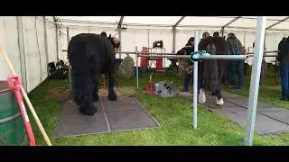 At the Farriery Demonstration at the Nottinghamshire County Show 2023.
