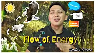 Flow Of Energy | Grade 7| Nature's Unseen Balance | Teacher Dha