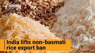 India allows non-basmati rice exports; 7 countries to get over 10 lakh tonnes | The Federal