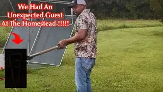 *NEW A SCARY DAY AT HOMESTEAD!!! WE HAD AN UNINVITED GUEST!!!/YERYORK, FALL GARDEN & MORE!🍂🍁 #fall