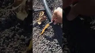 Recuperaci&oacute;n de sistema de riego por goteo en finca de Aloe vera (eliminaci&oacute;n sedimentos manguera)