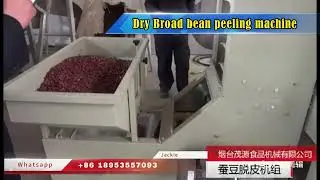How To Remove Broad Bean Skin|Dry Broad Bean Peeling Machine| Peel the fava bean skin in dry way