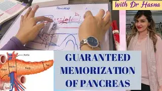 Pancreas anatomy in 3D | Relations you will never forget | BEST CONCEPT | A&P anatomy
