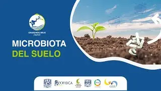 Microbiota del Suelo