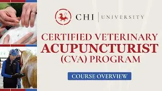 Chi University - Certified Veterinary Acupuncturist Program Overview