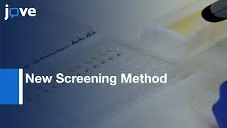 New Screening Method For Directed Evolution: Thermostable Bacteriolytic Enzymes l Protocol Preview