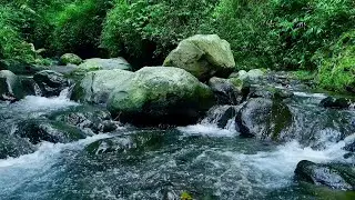 River Dreams  - Deep Relaxation & Sleep Ambience | sleep - relax - enjoy life - ASMR