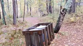 Video of Sleeping Fawn Resort and Campground, MN from Amy G.