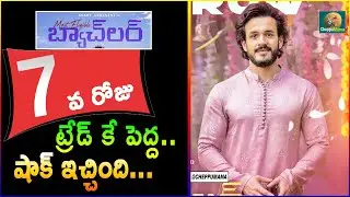 Most Eligible Bachelor 7 Days Collections | Most Eligible Bachelor 1st Week Collections |Cheppumama