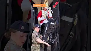 Respect soldier #horseguard #horseguardsparade #peterellis #buckinghampalace #tourist #royalguard