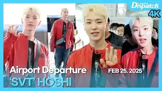 호시(세븐틴), 