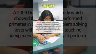 Quick fun fact | Subscribe for more #shorts