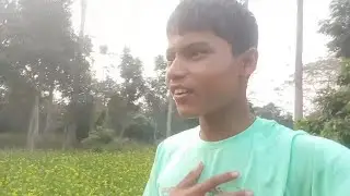 Sarson ki khet mein ##bahut Maje$🌲 ped ki video
