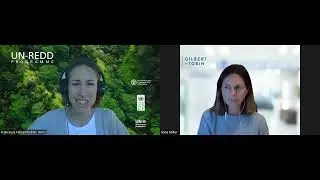Carbon rights in the context of jurisdictional REDD+: - Ilona Millar's Expert Perspective