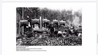 18.4 Ways of Working - Comparing Colonial Economies