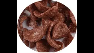 Koko Krunch Choco Flakes Breakfast Cereal Snacks Food Extruder Machinery Equipment by DG Machinery
