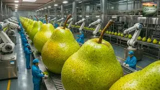How Pears Go From Farm to Dessert | Inside the Factory Process (AI)