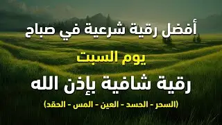 أفضل رقية شرعية في صباح يوم السبت  علاج الحسد_السحر_العين _حفظ وتحصين للمنزل _القارئ علاء عقل