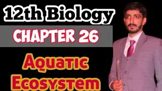 Ecosystem and Characteristics of Aquatic ecosystem | Chapter 26 | Biology 12th lecture 1