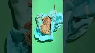 Funniest Pets Bearded Dragon Sliding at the Park #shorts #beardeddragon #funny #pets