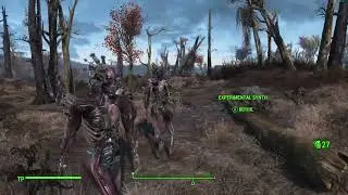 FO4 XSynth