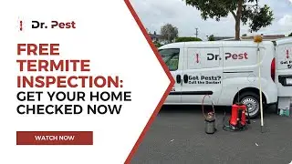 Free Termite Inspection: Get Your Home Checked Now | Dr. Pest
