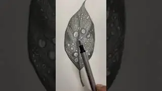 The Power Of Black And White   Leaf Portrait Drawing #shortsvideo #drawing #pencildraw #art