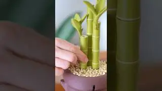 A toolbox disguised as Bamboo?