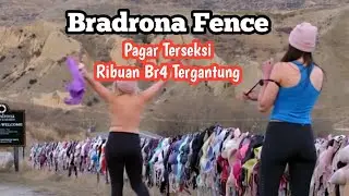 Bradrona Fence | Objek Wisata Nyeleneh dan Unik di Selandia Baru