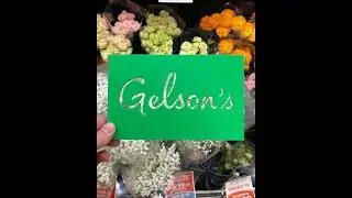 Get Fresh with Gelson's