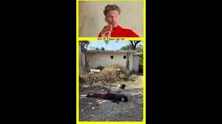 #teamcrazy Trending Very Special Funny Comedy Video 🤣