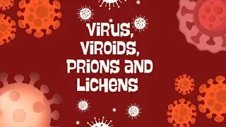 Topic - Viruses , Viroids, Prions and Lichens of chapter Biological Classification 