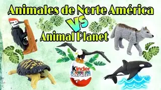Animal Planet & NATOONS de Norteam&eacute;rica 2021. Kinder  Sorpresa.