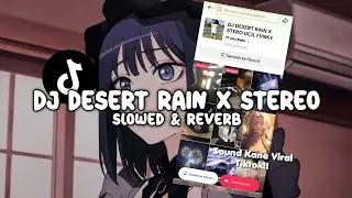 DJ DESERT RAIN X STEREO HEARTS (Slowed & Reverb) 
