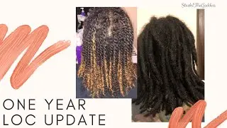 ONE YEAR LOC UPDATE | TWO STRAND TWIST STARTER LOCS