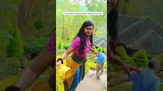 Valparai and Munnar Travel vlog part 3|Tamil girl|Exploring#valparai #munnar #travelvlog#traveling