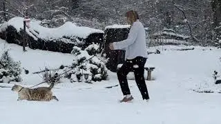 Indy in the Snow