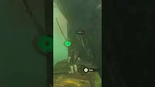 Here&rsquo;s where to find the Forest Dweller&rsquo;s Spear at the top of the Deku Tree (Zelda TOTK)